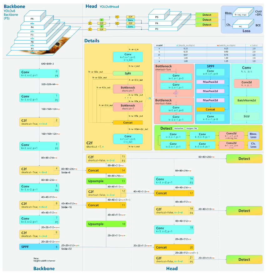 YOLOv8 Architecture Diagram